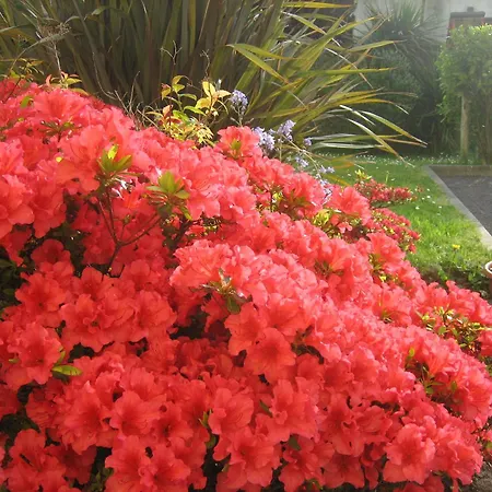 Bed & Breakfast Liosderrig House 3*